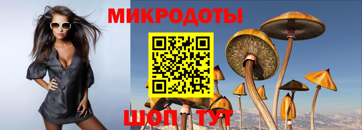 Кашира  что такое наркотик  Вход с VPN  Галлюциногенные грибы Magic Shrooms 